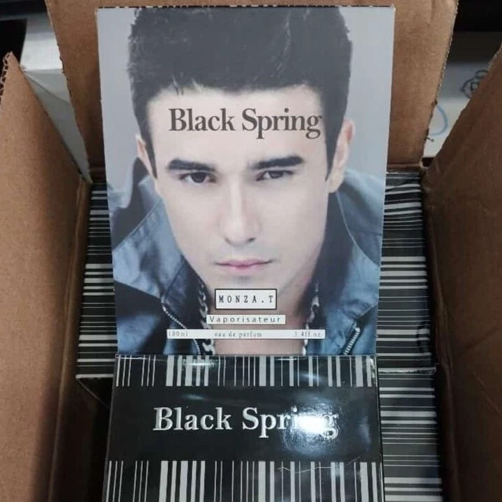 ادکلن بلک اسپرینگ مردانه 100 میل (BLACK SPRING)